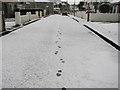 Footprints in the snow