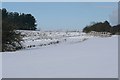 Top of the gallops