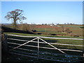 SX9991 : View towards New House Farm by Roger Cornfoot