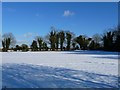 Quarley - Snowy Field