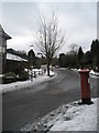 Postbox on the corner of Wodeland Avenue and Annandale Road