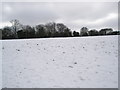 A snowy field between The Mount and Wodeland Avenue