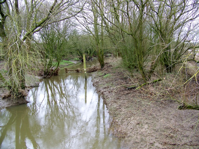 Lower Nyland, North Dorset - area information, map, walks and more