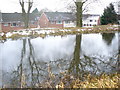 Basingstoke Canal by Greenway