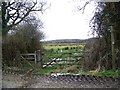 Bridleway to Hunters Bridge