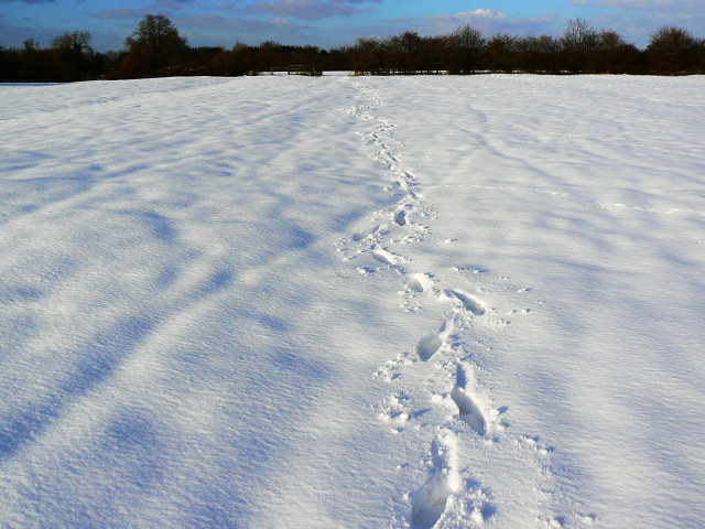 Snow and footprints, Moor Leaze, near... © Brian Robert Marshall cc-by ...