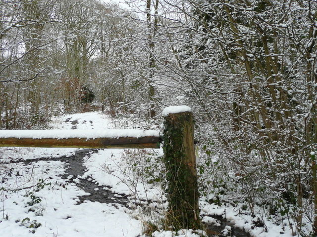 Footpath and track through Linton Woods