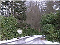 Driveway leading to Eskhill