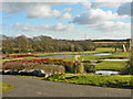 Water hazards, Vale of Glamorgan Golf and Country Club, Hensol