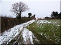 Bridleway, Forston