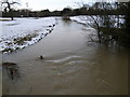 TL1379 : Cold and silt laden water flowing down the Alconbury Brook by Michael Trolove