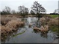 SK1118 : River Blithe south of Hamstall Ridware by Graham Taylor