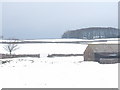 SK1668 : Snowy fields, barn and copse by Peter Barr