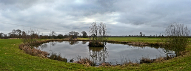 Pond near Hamstall Ridware