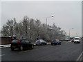 Snow-covered trees by Kilbowie Road