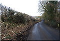 Newly clipped hedge, Hunton Hill