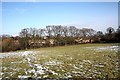 Field near Churchdown Road