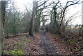 Byway north of Lughorse Lane