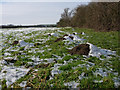 Molehills by the Stour