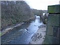 River Darwen