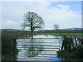 2009 : Flooded field off Tuckmarsh Lane