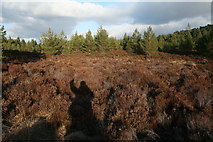 NH8906 : Rough ground near Loch Gamhna path by Peter Bond