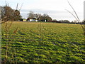 View across fields