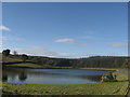 Ynysyfro Upper Reservoir