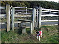 By-pass stile and dog gate