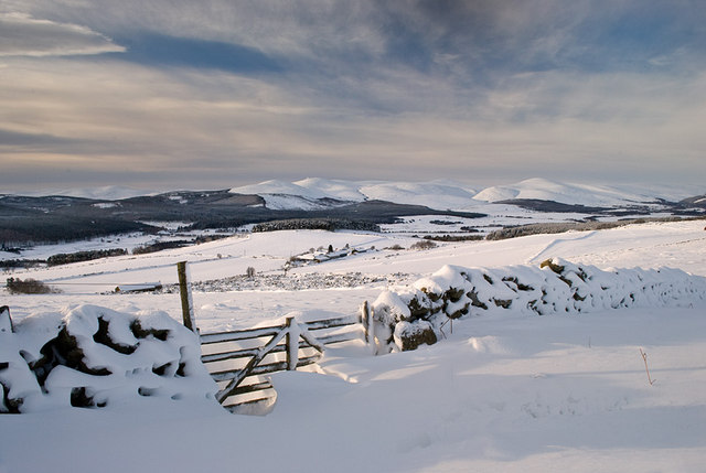 A gate above Ardlair after a fall of snow