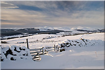 NO6793 : A gate above Ardlair after a fall of snow by Nigel Corby