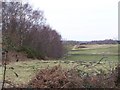 View across fields from Broomhill