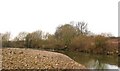 The Swale above Great Langton