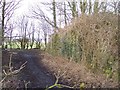 Old railway bridge abutments.