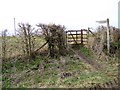 Kissing gate, East Martin