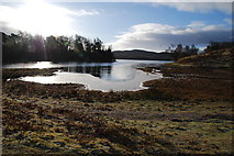 NH8305 : Loch Insh by jeff collins