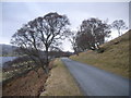 The road at Loch Rannoch