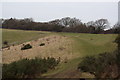 Rural scene near Ditchling