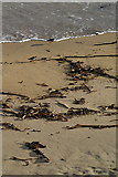 HP6616 : Skaw beach by Mike Pennington