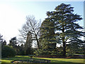 Arboretum, West Lodge Park, Hadley Wood, Hertfordshire