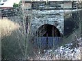 Disused railway tunnel