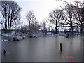 Goodyhills Farm Pond