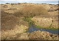 SS8577 : Duneland stream in the south of Merthyr Mawr Warren by eswales