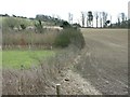 Fields in the Alkham Valley