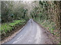 View along Cauldham Lane near Hockley Sole