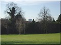 Southall Gasometer from Churchfields Recreation Ground