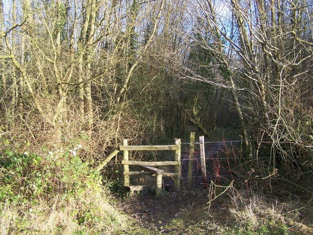 The Coldrum Trail enters Ryarsh Wood