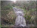 Footbridge in Ryarsh Wood