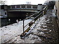 The Wolf Bridge and Swans