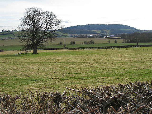 View to Aconbury Hill